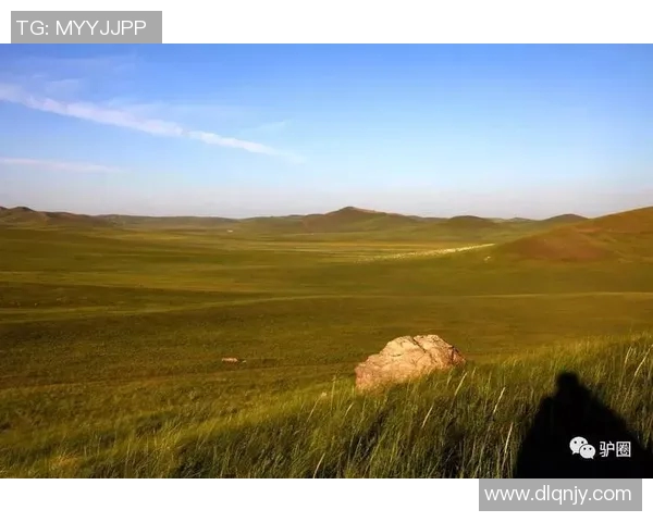 马西斯的传奇人生与不屈精神在时代洪流中的启示与反思